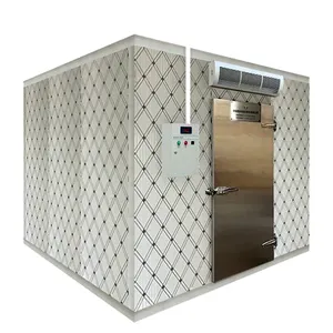 Cool Freezing Refrigeration For Fresh Meat Small Medium Large Size Cold Storage Room