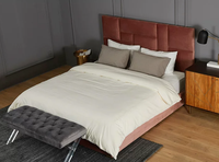 Lit de rangement de luxe en velours, design écologique, mousse éponge confortable et douce, sommier réglable, moderne, taille Queen