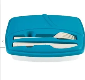 Wholesale Plastic Food Lunch Box with Knife and Fork Separated Picnic Camping Bento Box Reusable