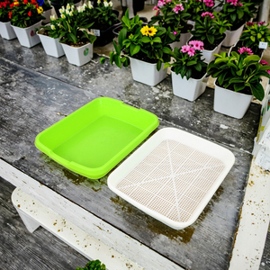Bandeja de Germinación Hidropónica, Recubierta de Epoxi PP, 32 Celdas, Diseño Rectangular, Bandejas de Vivero Portátiles <span class=keywords><strong>para</strong></span> <span class=keywords><strong>Brotes</strong></span> de Guisantes y Frijoles - Product Image 5