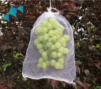 Sacs de protection pour raisins en HDPE anti-insectes avec cordon de serrage pour protéger les graines de plantes, les fruits, les fleurs, les légumes 25*35cm