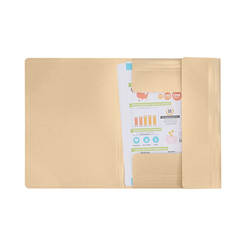Plástico escolar personalizable A4/Carta tamaño 3 solapa bandas elásticas cierre documentos de papel carpeta de archivos