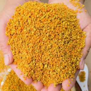 Gránulos de Polen de Abeja 100% Orgánico de Alta Calidad, Mezcla de Polen Natural Puro de Girasol a Precio Competitivo, Polvo de Polen de Abeja - Product Image 5