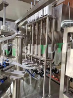 Machine de capsulage de remplissage de sachets à bec verseur automatique pour machine de remplissage de jus/lait/eau potable doypack