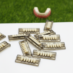 Dientes Anteriores Inferiores Acrílicos Dentales Multicapa de Fábrica ZUNCHI para Uso Manual en Prótesis Dentales, Clase II, Garantía de 3 Años, CE ISO - Product Image 5