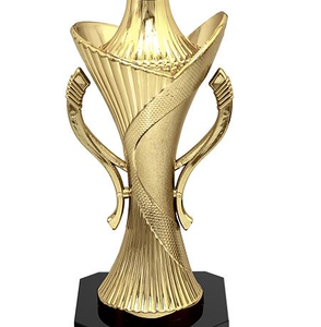 จีนผลิตเกมกีฬาชิงแชมป์ถ้วยรางวัลถ้วยโลหะที่กำหนดเองถ้วยแววถ้วยรางวัล - Product Image 4