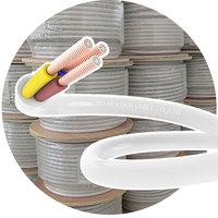Rvv kabel daya 2 3 Core 0.5mm 0.75mm 1.0mm 1.5mm 2.5mm Pvc kawat terisolasi kabel fleksibel