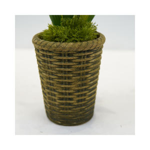 All'ingrosso fiore artificiale succulento giallo fiore realistico per interni decorativi per esterni Mini Bonsai in vaso - Product Image 6