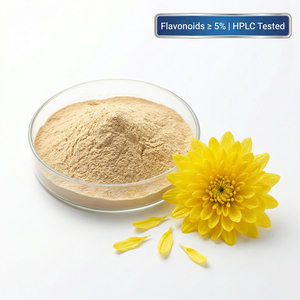 Extracto de Capullo de Crisantemo Hangbai, Extracto Herbal con Alto Contenido de Flavonoides, <span class=keywords><strong>Polvo</strong></span> Natural de Grado Alimenticio 10:1, Shandong All Seasons - Product Image 1