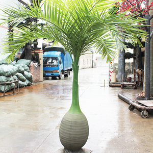 Tùy chỉnh 2.2m ~ 4.2m nhỏ nhân tạo chai cây dừa giả cây dừa hồ bơi bãi biển Nhà hàng Trung tâm trang trí cây cọ - Product Image 1