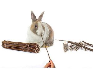 Willow <span class=keywords><strong>Mega</strong></span> Munch Sticks Conejos Chinchilla Cobayas Pequeño Animal Treat Chew Stick Juguetes - Product Image 3