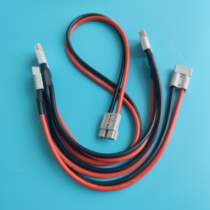 Baterai DC Plug 6 AWG, Kabel Ekstensi 6 AWG Baterai Hybrid Tugas Berat Saat Ini <span class=keywords><strong>2</strong></span> Cara 600V 50A - Product Image 1