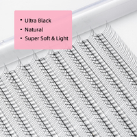 Extensions de cils en fibre PBT faites à la main, base pointue, éventails de volume pré-faits, 3D, 0.05 0.07 0.10, 20 lignes, éventails lâches, légers et doux