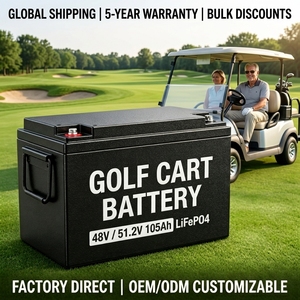 Batterie LiFePO4 48 Volts 51.2V 105Ah à Longue Durée de Vie avec BMS Intelligent pour Chariot de Golf, Prise en Charge de la Marque OEM - Product Image 1