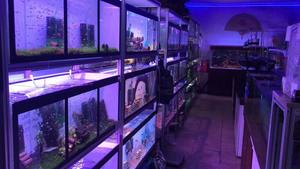 Support d'armoire en aluminium pour aquarium - Product Image 6