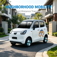 Vehículo Eléctrico Mini de 4 Plazas para Adultos, de Baja Velocidad, con Controles Inteligentes, para Ciudad