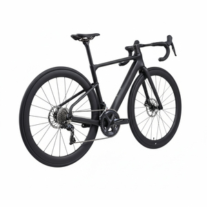 Vélo de route en fibre de carbone T800 de grande taille 61 cm, fabrication d'usine, endurance, 24 vitesses, frein à disque hydraulique complet, vélo de course entièrement en fibre de carbone - Product Image 3