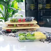 Shiweixian Rectangulaire Micro-ondes Verre Borosilicate Plats De Cuisson Résistant À La Chaleur Plat De Cuisson Pan Plaque Plateau