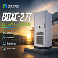 Système de stockage d'énergie commercial et industriel tout-en-un 261 kWh LiFePO4 à refroidissement liquide, armoire extérieure IP65, OEM ODM BOXC-2.7T