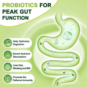 แคปซูลอาหารเสริมใยอาหารโออีดีแคปซูลผงโปรไบโอติก60พันล้าน CFUs + 1กรัมภูมิคุ้มกันการย่อยสลายของผู้ใหญ่ปรับปรุงแคปซูลโปรไบโอติก - Product Image 6