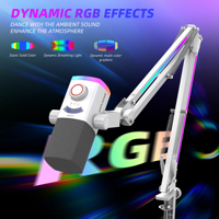Micrófono de Grabación Dinámico XLR/USB FIFINE AM8 PROT RGB con Brazo Articulado Ajustable para Juegos y Streaming, Micrófono Gamer