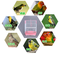 Cage à oiseaux canari rose simple, portable, petite et élégante à vendre