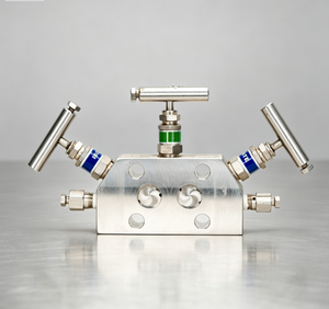 Colector Integral de 5 Vías Rosemountt R305 1/2 NPT Hembra con Válvulas de Igualación y Ventilación - Product Image 1