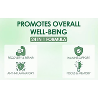 Grosir 24in1 Campuran Sirsak Kunyit Ginseng India Cuka Apel Moringa Vitamin C Meningkatkan Pencernaan Dewasa
