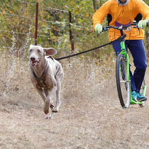 Hanyang-Correa multifuncional para perro, correa de entrenamiento personalizada para perro, impermeable, de pvc, OEM, venta al por mayor, manos libres - Product Image 5