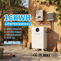 Paquete de Baterías Solares LiFePO4 de 16 kWh y 314 Ah con Comunicación CAN2.0 RS485, Sistema de Almacenamiento de Energía para Uso Doméstico, 8000+ Ciclos, Certificación CE IEC