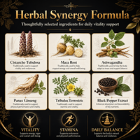 Capsules de Cistanche Tubulosa Véganes Sans OGM 500mg avec Ashwagandha et Tribulus pour le Soutien Quotidien de la Vitalité - Fournisseur en Marque Blanche