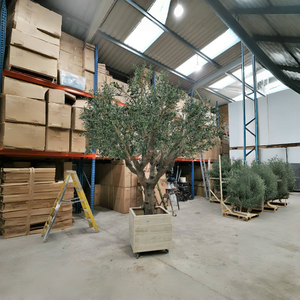 Grand <span class=keywords><strong>olivier</strong></span> artificiel en pot avec <span class=keywords><strong>tronc</strong></span> en plastique détachable et feuilles et fruits réalistes pour la décoration intérieure de l'hôtel. - Product Image 1