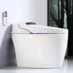 Simple Style Elongated Auutomatic Ceramic Floor Mounted WC Smart Toilets Intelligent Seat Bowl With Remote Control