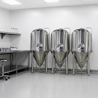 Cuve de Fermentation en Acier Inoxydable DYE 304/316L pour la Brasserie, Capacités 200L/500L/1000L/700L/20000L, 500KG, Facile à Utiliser