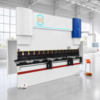 CE standart lazer koruma sistemi ve açı dedektörü ile SPS Servo Motor CNC pres freni