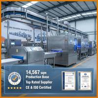 Línea de Producción de Papas Fritas a Gran Escala 1500kg/h para Centro Centralizado de Fabricación de Snacks, Planta de Exportación Global de Grado Comercial