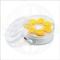 Mini huishoudelijke vacuümdroger voor fruit en groenten, 220V droogapparaat met motor voor laboratorium en voedseldroging