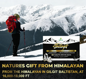 Comprimés de Shilajit de l'Himalaya OEM/ODM de notre usine, 500 mg, 85+ Oligo-éléments et Acide Fulvique pour le Soutien Immunitaire et l'Énergie des Adultes - Product Image 3