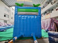 Hot Sale Outdoor aufblasbare Hüpfburg Combo mit Wasser rutschen Trampolin für Kinder Wasser pool