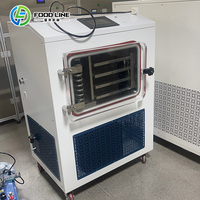 Vacuümtechnologie Fruit Snack Conservering Mini Vriesdroger