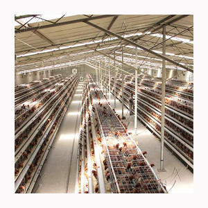 Gallinero con Batería grande <span class=keywords><strong>para</strong></span> 20 <span class=keywords><strong>gallinas</strong></span>, <span class=keywords><strong>precio</strong></span> de pila - Product Image 1