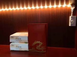 New <strong>PIR</strong> <strong>LED</strong> <strong>Strip</strong> Kit 3000K 4000K 6000K <strong>Sensor</strong> Night Light IP65 DC 5V Lithium Battery Lamp - Product Image 5