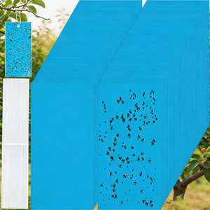 Pièges collants jaunes pour insectes volants, anti-mouches à fruits, anti-pucerons, plaques adhésives pour insectes, papier collant anti-moucherons - Product Image 2