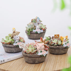 DL123 Jardinière en Céramique Blanche Tortue Cartoon pour Décoration de Jardin <span class=keywords><strong>Pot</strong></span> de Succulentes Mini <span class=keywords><strong>Pot</strong></span> de Fleurs en Tortue - Product Image 5