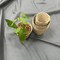 Taza de siembra de papel biodegradable, plantas de jardín, macetas de papel para vivero, taza de turba para plántulas, venta al por mayor, ecológica