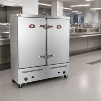 Armoire vapeur à gaz RTK à chauffage rapide, 12 plateaux, corps en acier inoxydable, pour la cuisson de grands volumes de nourriture lors de banquets