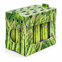 Boîte d'expédition verticale OEM en polypropylène ondulé pour légumes, 390x300x360mm, 4mm, 750GSM, impression couleur avec fenêtre découpée