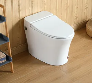 Moderne Elektronische Automatische Keramische Toiletten Kom Wc Luxe Intelligente Watermerk Badkamer Wc Eendelig Toilet Bidet