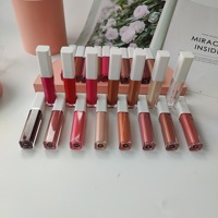 Vente en gros de rouges à lèvres liquides hydratants, gloss brillants, gloss mats vegan, gloss repulpant et teintes à lèvres nude, disponibles en marque privée