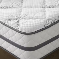 Matelas d'Hôtel Économiques Euro Top, Fournisseur d'Usine, Matelas de Lit d'Hôtel en Mousse à Ressorts Ensachés Grand Lit, Très Grand Lit et Lit Double, Livrés en Boîte